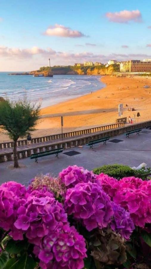 Residence La Croisiere- Appt Duplex 6 Personnes Англе Екстериор снимка